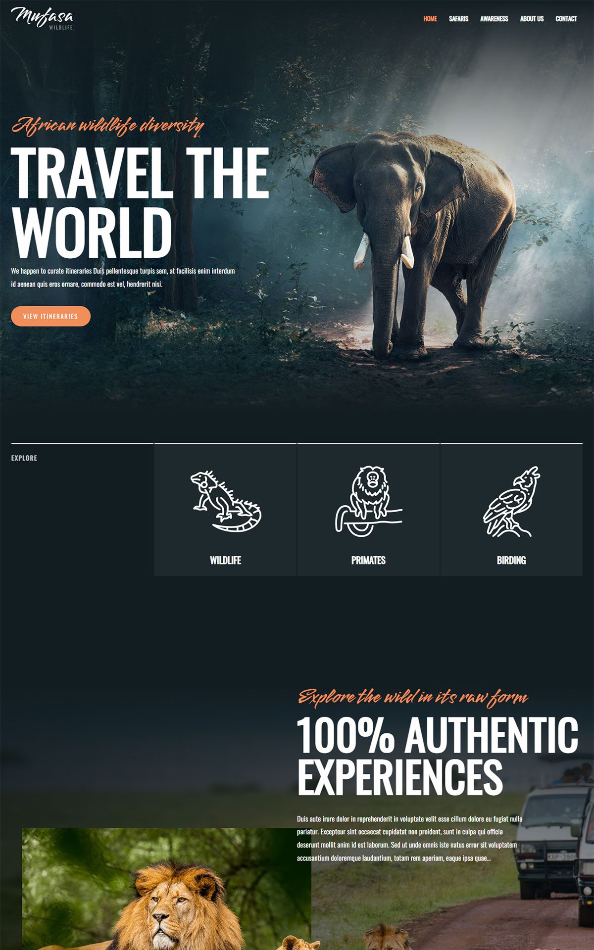 Wildlife Safari
